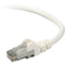 Belkin Cat. 6 UTP Patch Cable