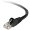 Belkin Cat. 6 Patch Cable