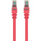 Belkin Cat.6 Patch Cable