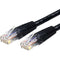 StarTech.com Cat6 UTP Patch Cable - 100ft - 1 x RJ-45, 1 x RJ-45 - Category 6 Patch Cable External - Black
