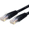 StarTech.com Cat6 UTP Patch Cable - 100ft - 1 x RJ-45, 1 x RJ-45 - Category 6 Patch Cable External - Black
