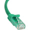 StarTech.com 50 ft Green Snagless Cat6 UTP Patch Cable