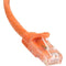 StarTech.com 75 ft Orange Snagless Cat6 UTP Patch Cable