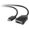 Belkin DisplayPort to DVI Adapter, M-F, 1080p
