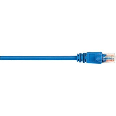 Black Box CAT6 Value Line Patch Cable, Stranded, Blue, 20-ft. (6.0-m)