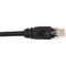 Black Box CAT6 Value Line Patch Cable, Stranded, Black, 15-ft. (4.5-m), 25-Pack