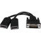 StarTech.com 8in LFH 59 Male to Dual Female DisplayPort DMS 59 Cable