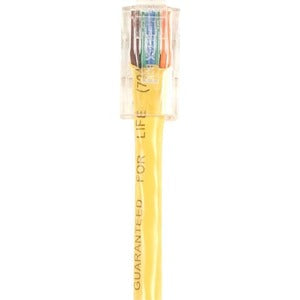 Black Box Cat.6 UTP Patch Network Cable