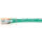 Black Box Cat.6 UTP Patch Network Cable