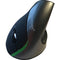 WOW PEN JOY II WRLS ERGONOMIC COMPUTER MOUSE SILVER