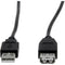 Rocstor Premium 6 ft USB 2.0 Extension Cable A Male to A Female - M-F - USB - 6 ft - 1 Pack - 1 x Type A Male - 1 x Type A Female -Black - USB A MALE TO A FEMALE CABLE